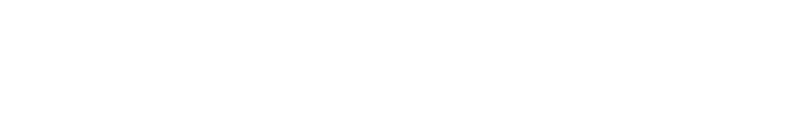 Logo Numex